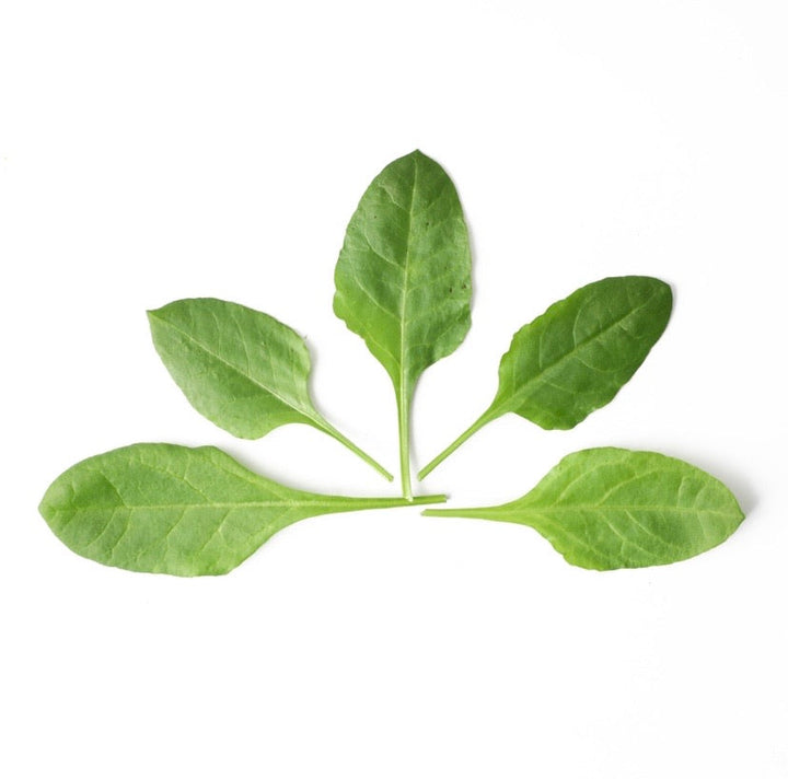 Fresh ChopChop Baby Spinach leaves