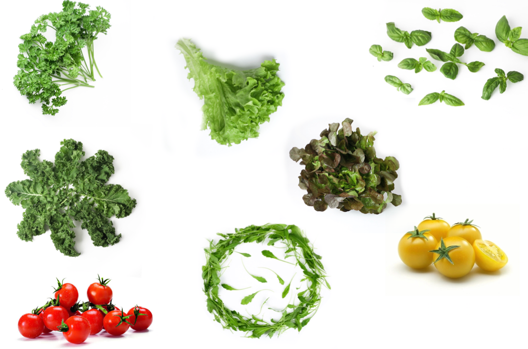 Spicy Summer Mix, 150g