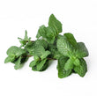 Mint, 40g
